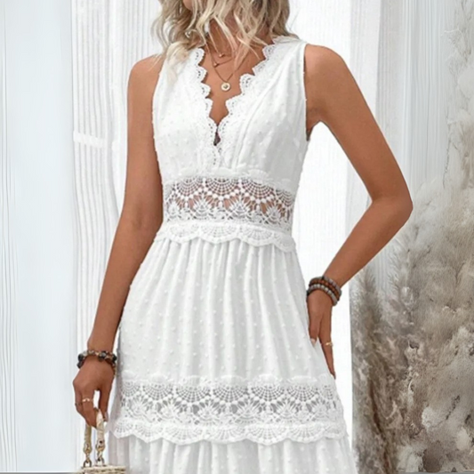 Chic V-Neck Lace Dress
